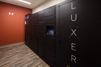 Luxer one package system